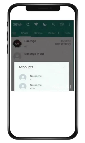 Dual WhatsApp Accounts